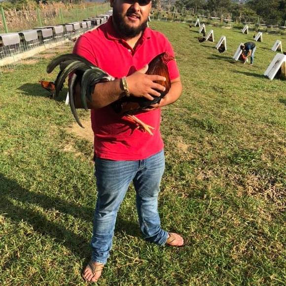 Meet your Posher, Abel - Picture 1 of 1